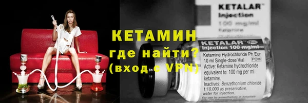 гашик Ельня