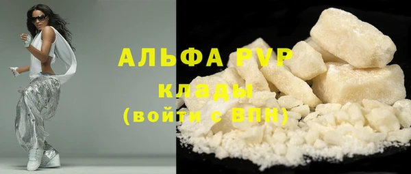 гашик Ельня