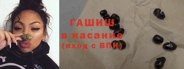 гашик Ельня