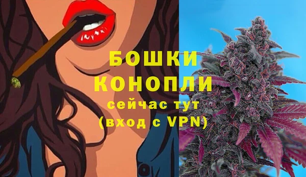 гашик Ельня
