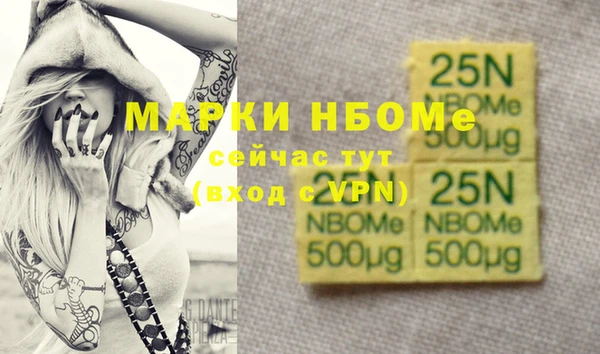 гашик Ельня