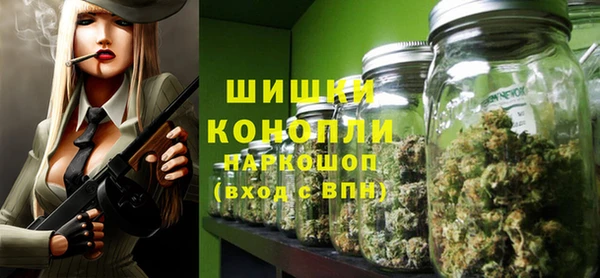 гашик Ельня