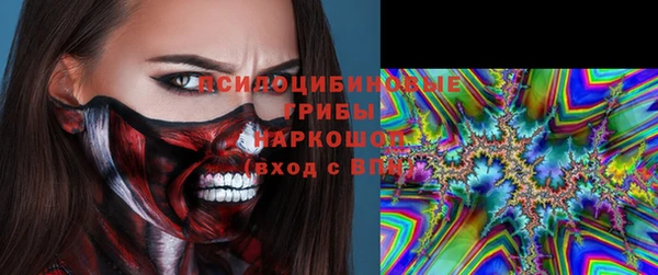 гашик Ельня
