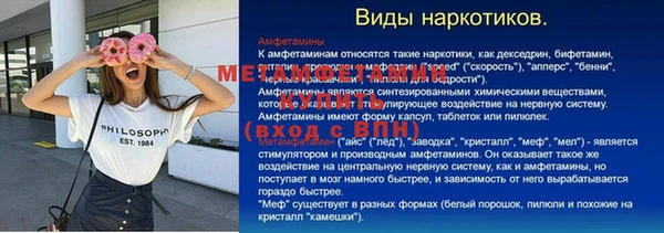 гашик Ельня