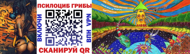 Галлюциногенные грибы мицелий  Купить закладки  Бологое 